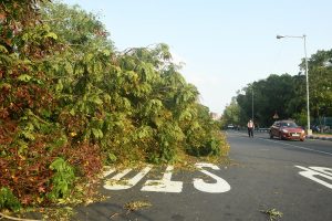 এখনও আঁধারে এক লক্ষ গ্রাহক