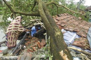 সিইএসসি’র সঙ্গে ভোডাফোন, এয়ারটেলকেও দুষলেন মুখ্যমন্ত্রী