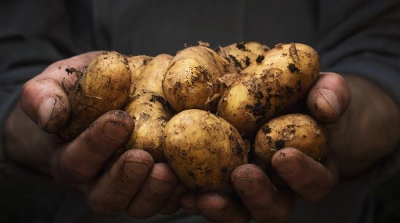 আলুর কালোবাজারি বন্ধে পরিদর্শন