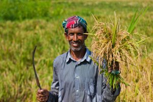 দেশে তৈরি কৃষি সরঞ্জাম রফতানি বৃদ্ধি