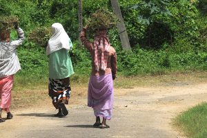 আসন্ন বাজেটে মনরেগাতে বরাদ্দ বাড়াবে কেন্দ্র,  ৯০ হাজার কোটি টাকা বরাদ্দের সম্ভাবনা 