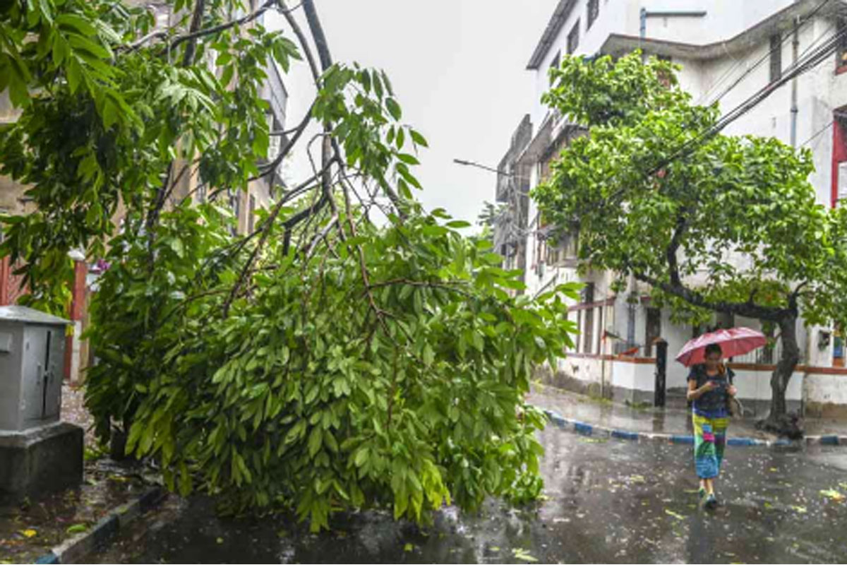 ‘রেমাল’ মোকাবিলায় সন্তুষ্ট মমতা, দুর্গতদের দিলেন ক্ষতিপূরণের নিশ্চয়তা