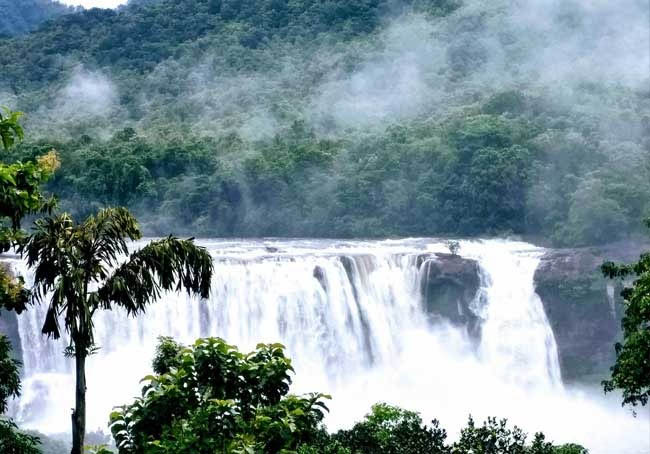 কেরালা ও তামিলনাড়ুর মাঝে তিন আদিম অরণ্যের মিলনকেন্দ্র পোল্লাচির ‘টপস্লিপ’ 