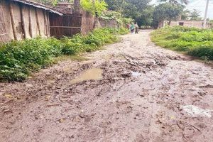 সংস্কার করা হবে জেলার ১২ টি বেহাল রাস্তা