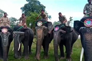 হাতিদের রাখি পরিয়ে বন্যপ্রাণী বাঁচানোর শপথ নিলেন উত্তরবঙ্গের পড়ুয়ারা