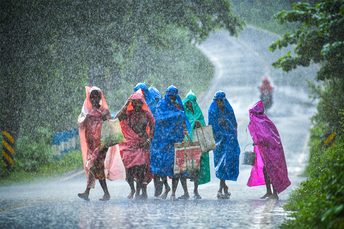 কেমন থাকবে আজকের আবহাওয়া? দেখে নিন এক নজরে