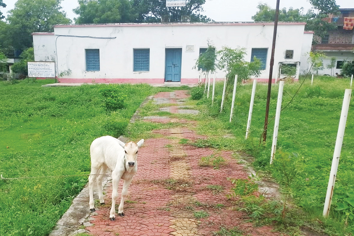 বিদ্যাসাগরের নন্দনকানন ও তাঁর বাসঘর : একটি আবেদন