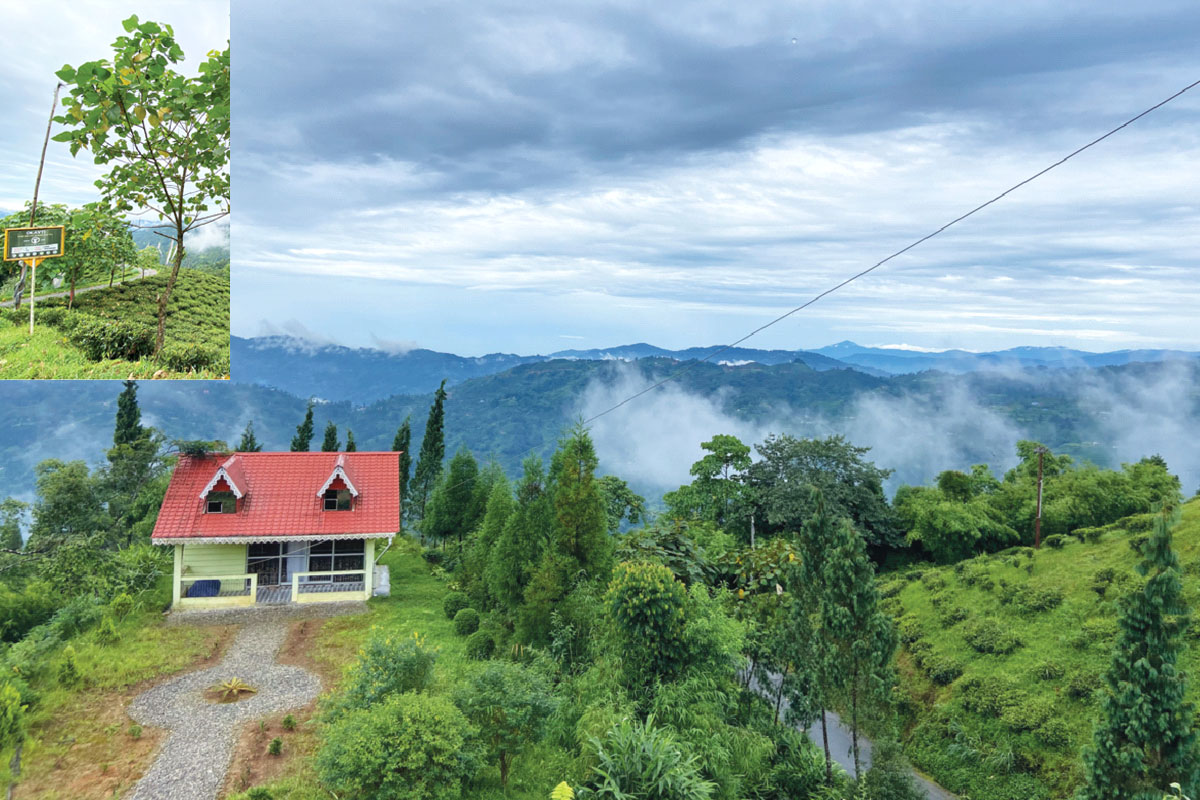 উঠল বাই তো পাহাড় যাই