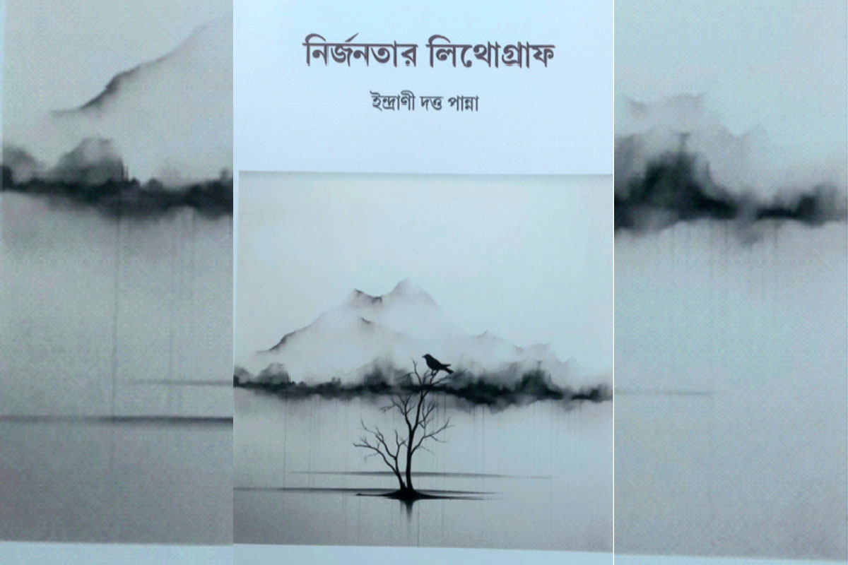 বোবা নক্ষত্রের দ্বীপভূমিতে পায়ের ছাপ, মরা কচ্ছপ