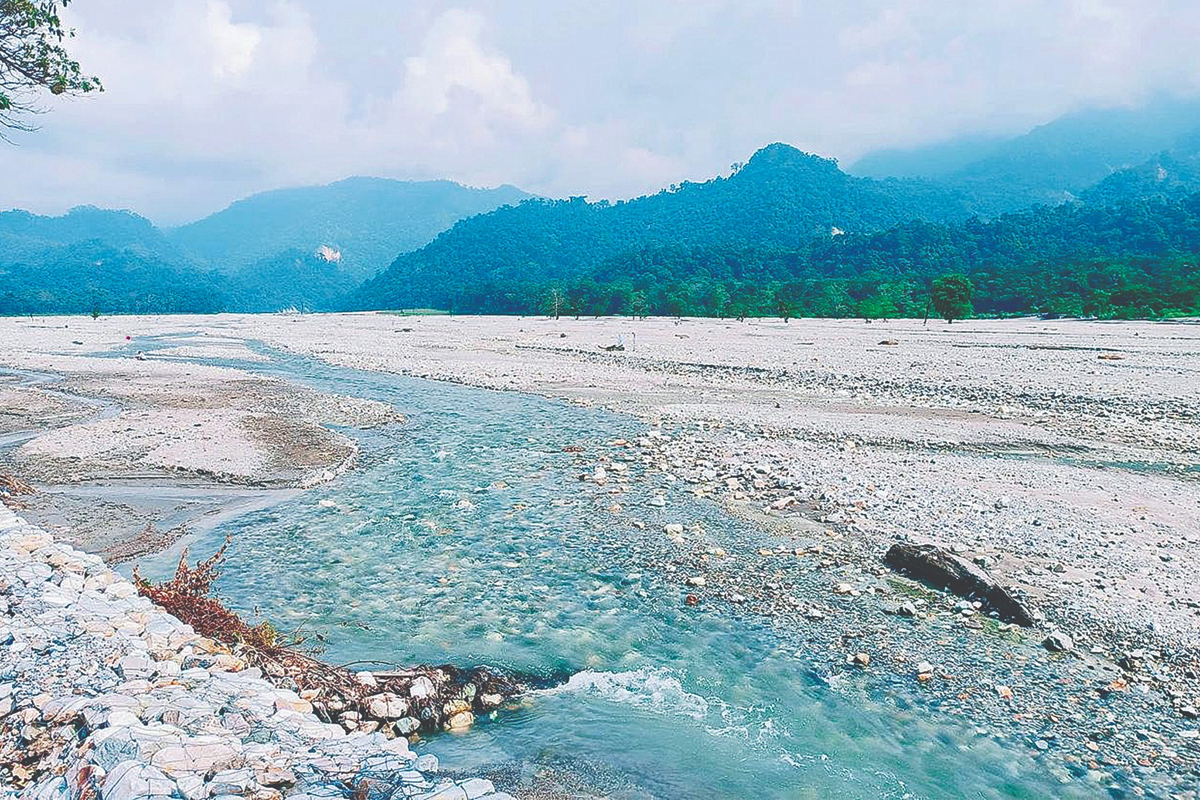 নদী আর অরণ্যের হৃদিকথা