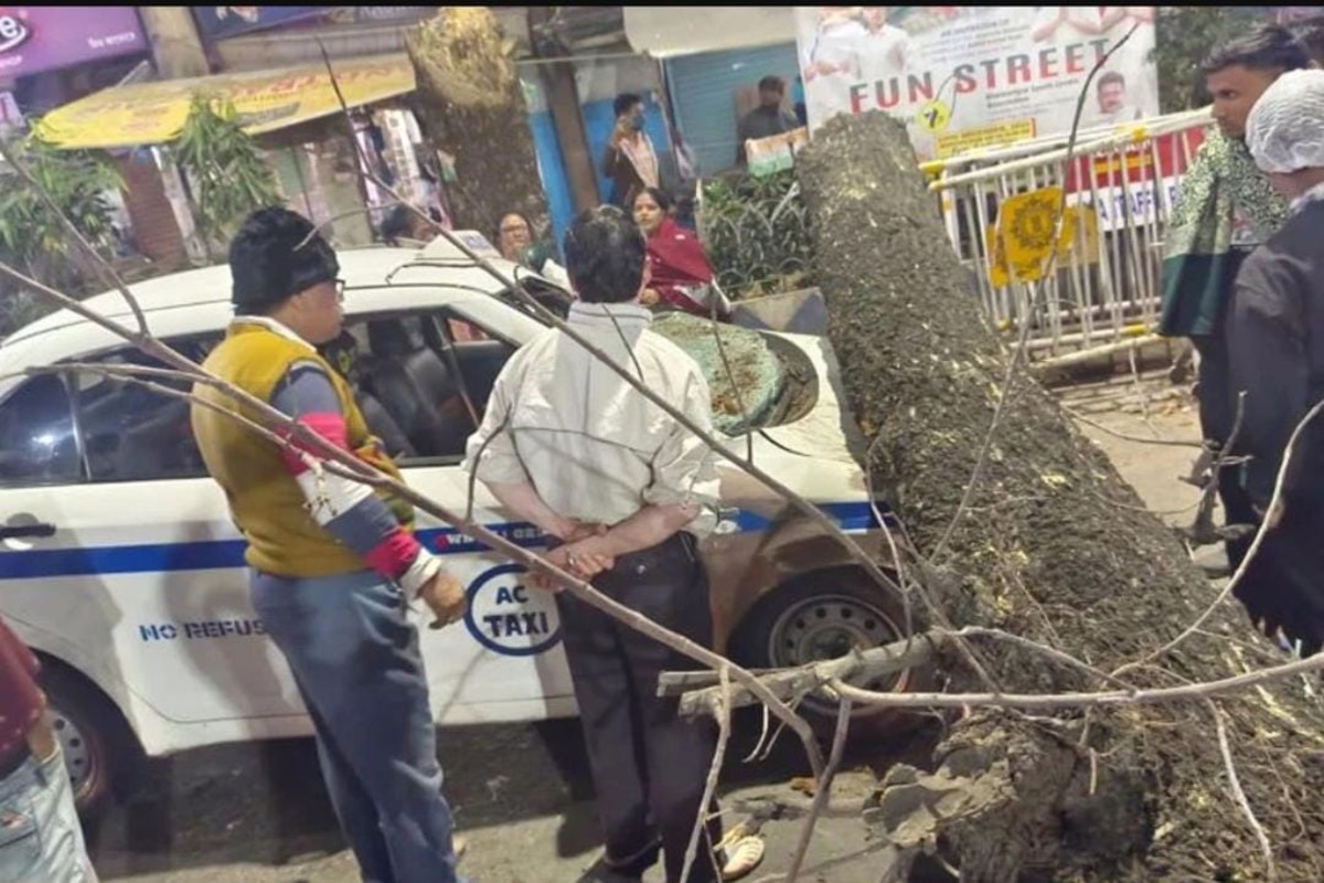 হাজরায় গাড়ির ওপর উপড়ে পড়ল গাছ, বরাতজোরে রক্ষা ৫ যাত্রীর