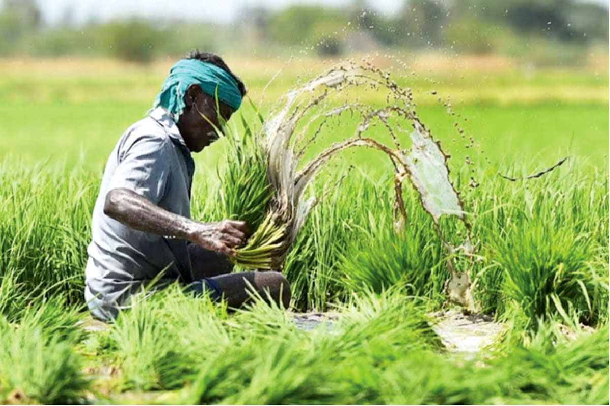 ‘প্রধানমন্ত্রী ফসল বিমা যোজনা’ অব্যাহত থাকছে